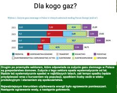 NATURAL GAS IN POLAND UNDER SCRUTINY: KEY CHALLENGES AND STRATEGIC NEEDS