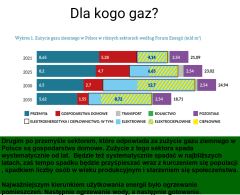 GAZ POD LUPĄ: Czy redukcja zużycia gazu wciąż jest tematem?