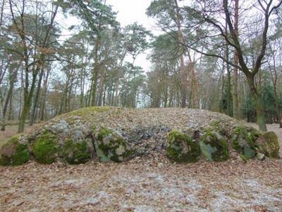 Will Discovery of Ancient Tombs in Poland Halt a Proposed Coal Mine?