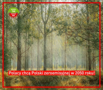 COP25: Premier Morawiecki nie zdał egzaminu z odpowiedzialności za przyszłość Polski!